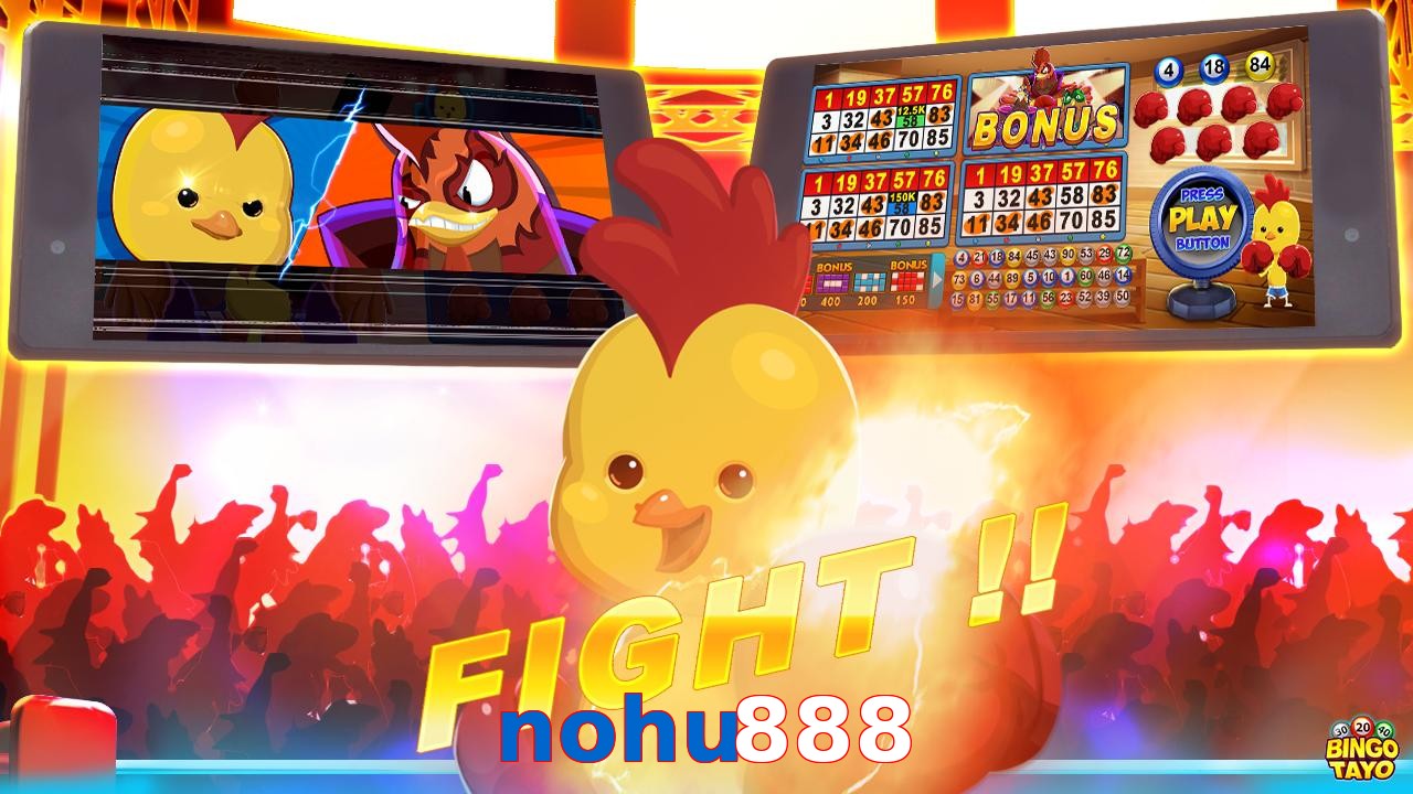 nohu888